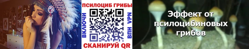 купить закладку  Теберда  Галлюциногенные грибы мицелий 